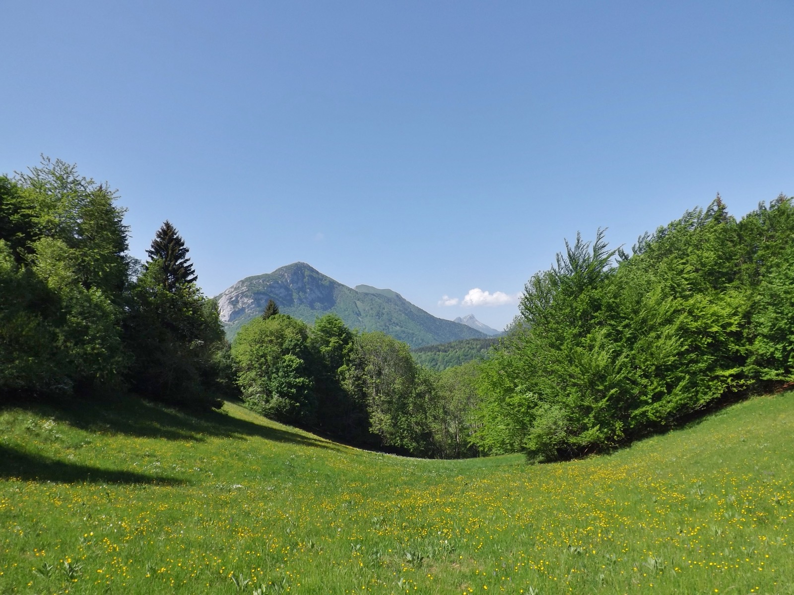 Entrelacs, au pied des Bauges